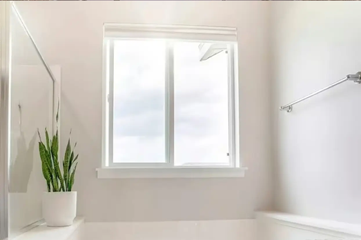 Window style - picture